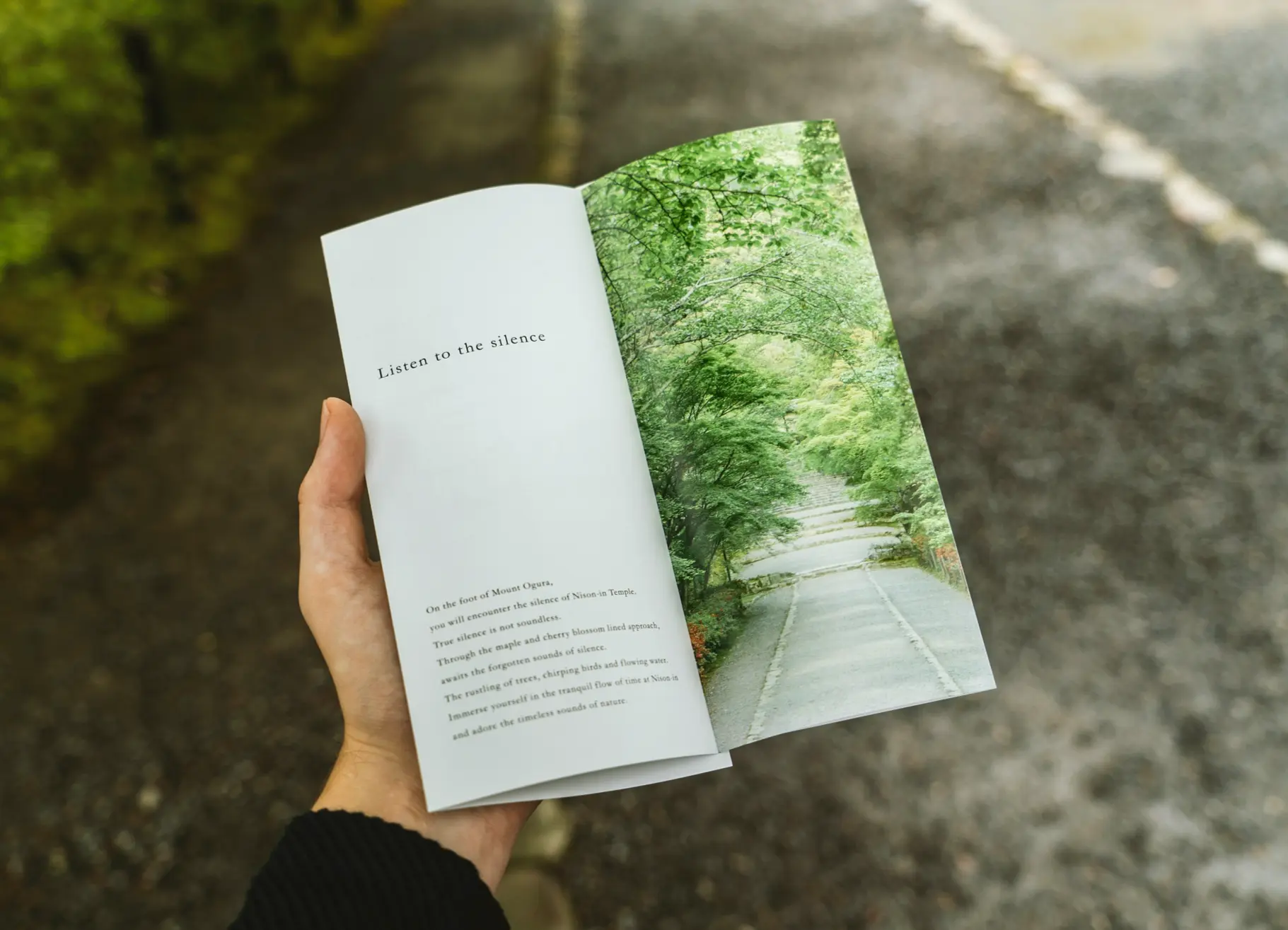 a person is holding an open book