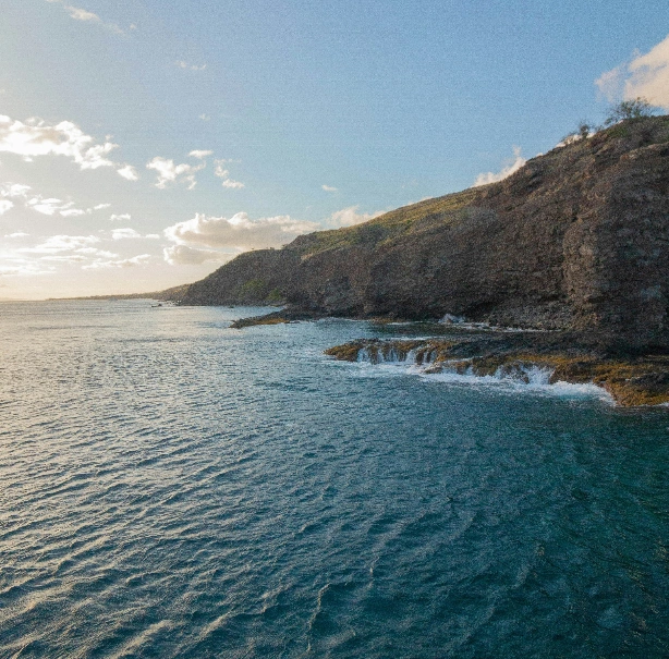 Illustration showing customer service and support resources