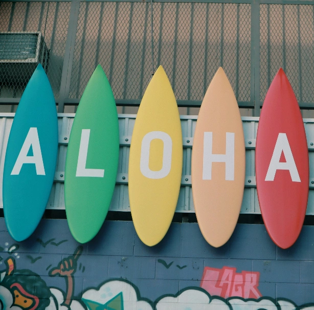 Illustration showing customer service and support resources